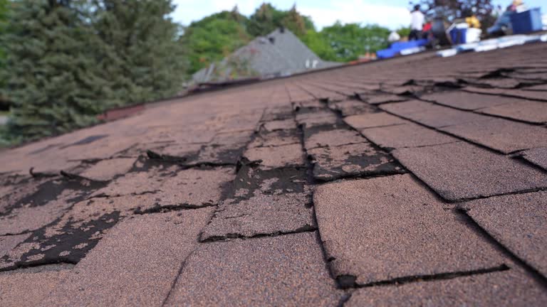 Best Skylight Installation and Repair  in Hauppauge, NY